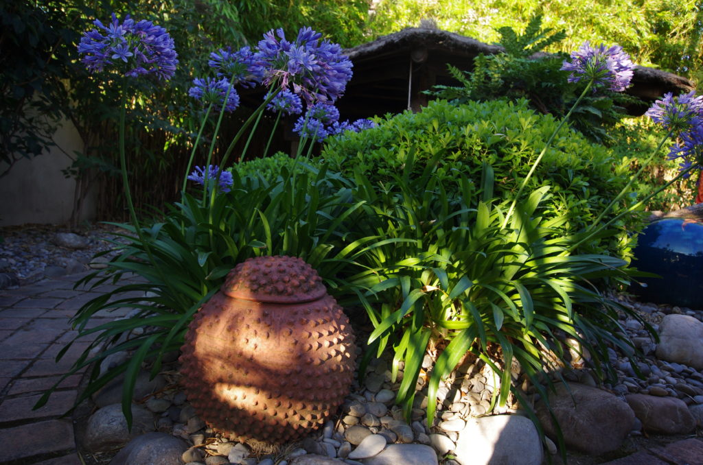 181031 jardins modernes