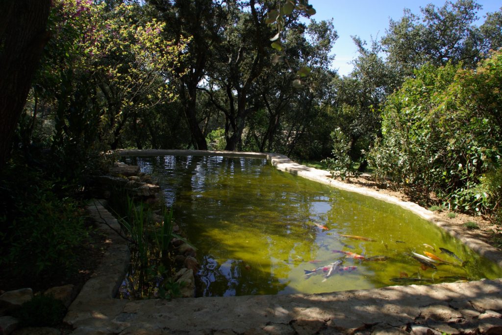 181031jardins eaux 10a