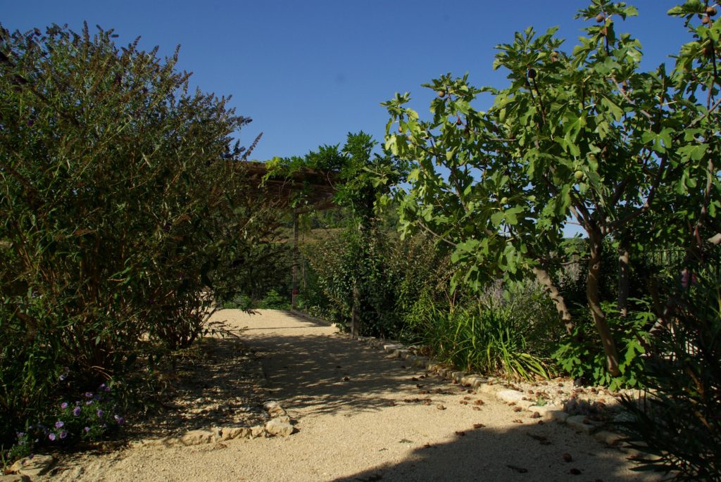 181031jardinsprovencaux 9b