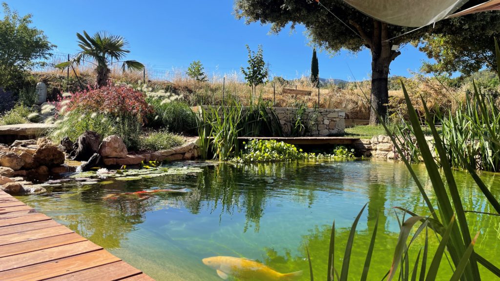Avant après création paysage grambois 1