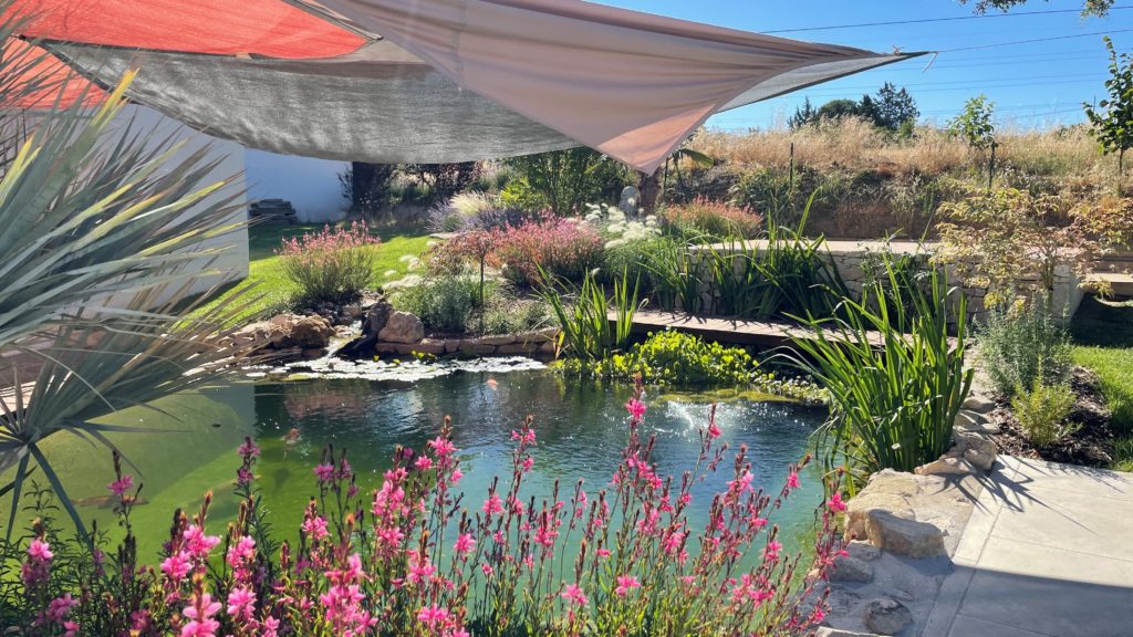 Avant après création paysage grambois 3