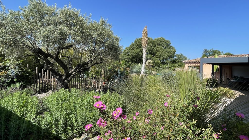 Création de paysage Pertuis 3