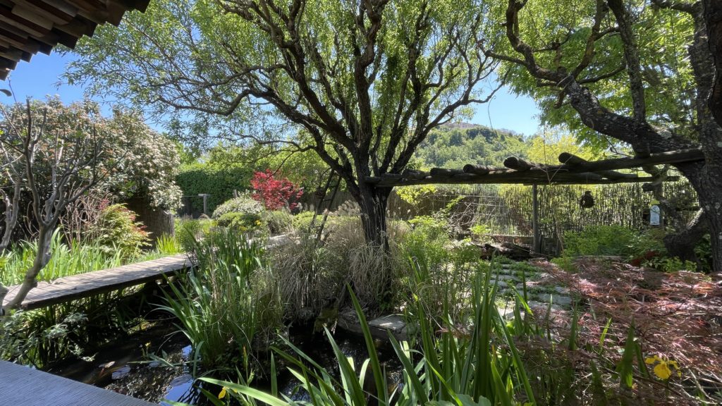 Création paysage Grambois