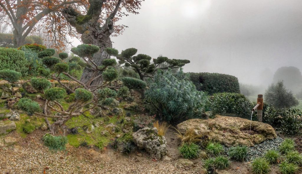 Création paysage Grambois 5