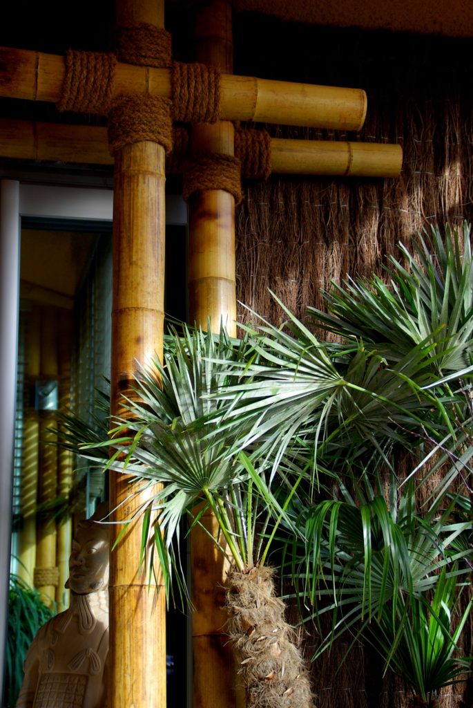 Création paysage Grambois 9