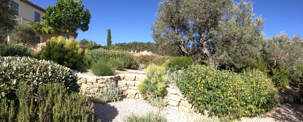 Entretien de jardin Pertuis 1