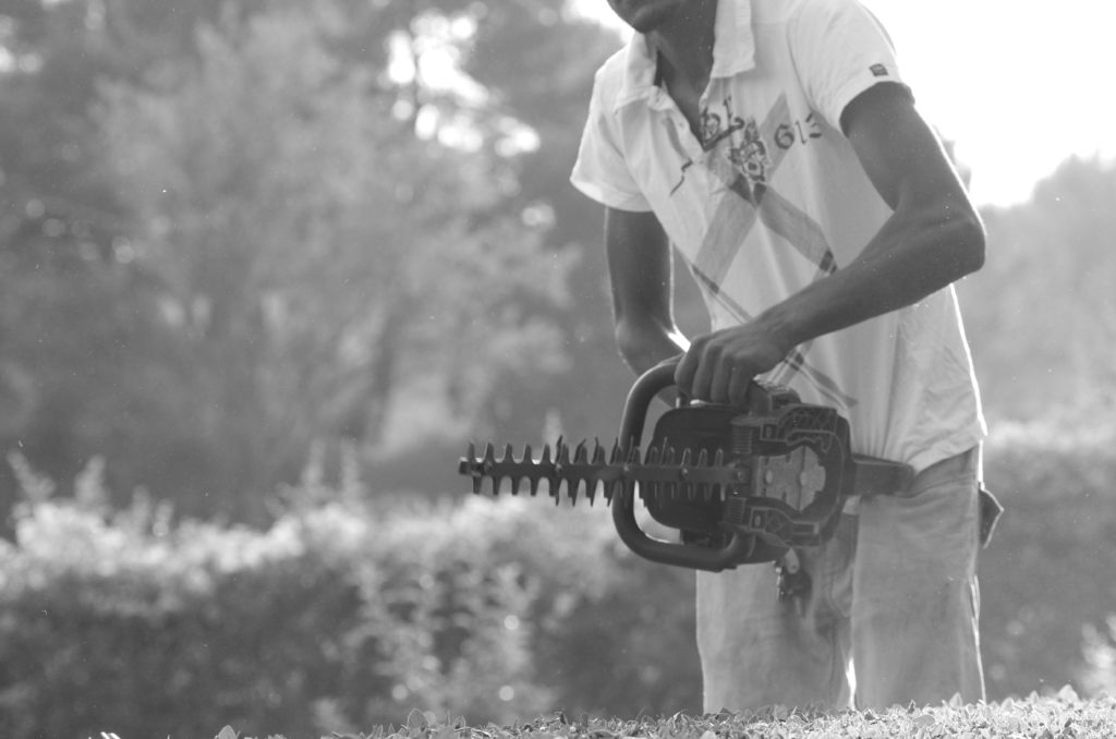 Photo jardinier grambois